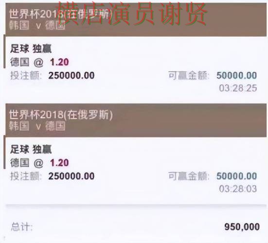 世界杯直播期间热门世界杯投注平台整理与直播入口分析 世界杯直播期间热门世界杯投注平台整理与直播入口分析